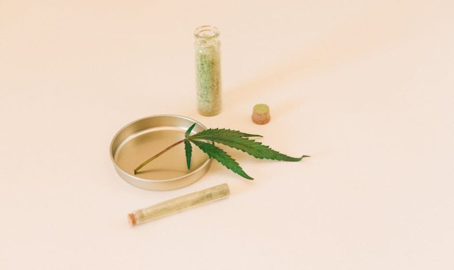 Купить семена конопли в Ростове на Дону законно и просто