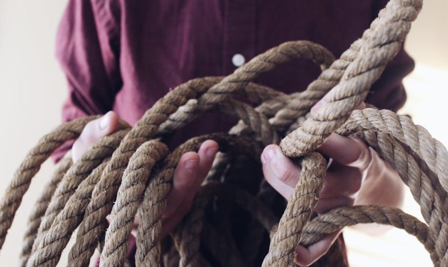 Семена конопли Auto Black Cream feminised от Ganja Seeds