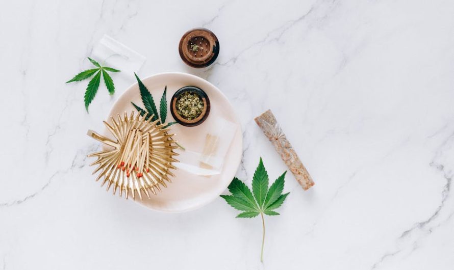 Семена конопли Trance feminised от Dutch Passion Seeds