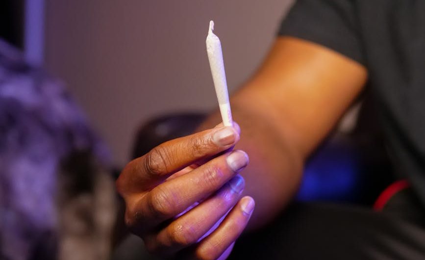 Очищенные семена конопли полезные свойства и применение