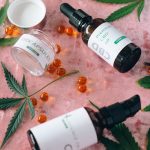 Преимущества семян конопли и выбор надежного поставщика для бизнеса image_46.jpg