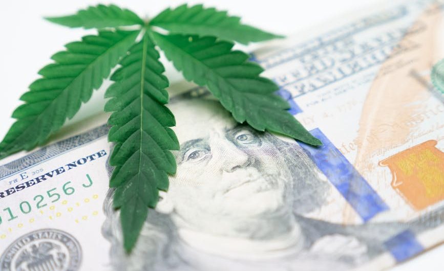 Семена конопли 1024 feminised Ganja Seeds