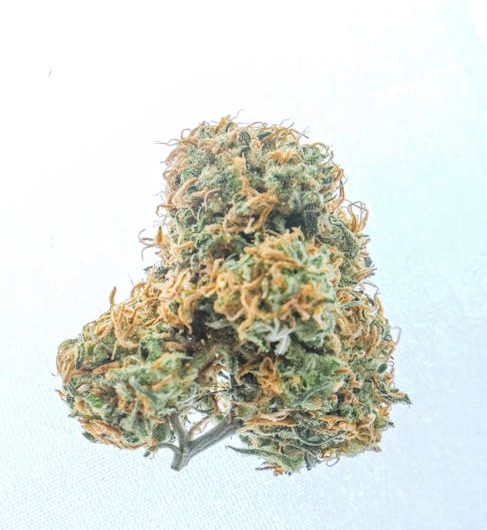 Семена конопли полезные свойства и применение