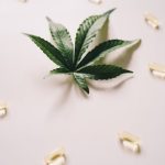 Семена конопли Auto Baby Boom feminised от Kannabia Seeds image_491.jpg