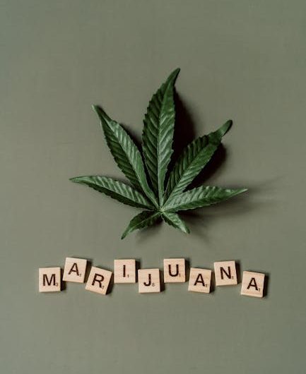 Питательная ценность и преимущества семян конопли