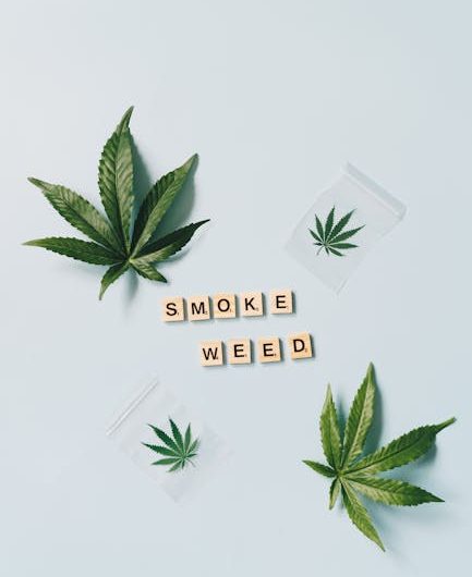 Семена сортовой конопли и их применение