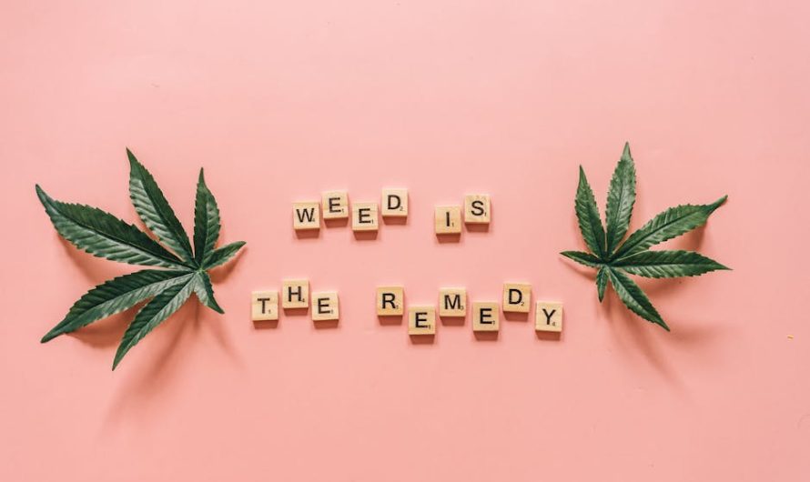 Конопляные семена полезные свойства и где купить в Санкт-Петербурге