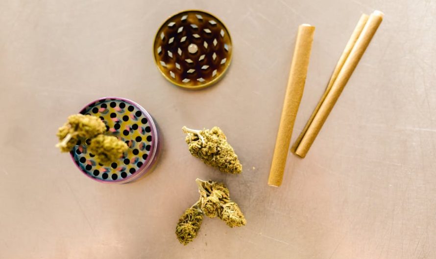 Выбор семян марихуаны для успешного выращивания