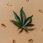 Запрет на семена конопли и его последствия image_52.jpg