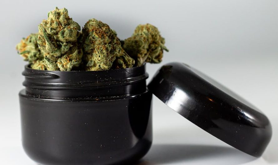 Семена конопли где купить в Ростове на Дону и их полезные свойства