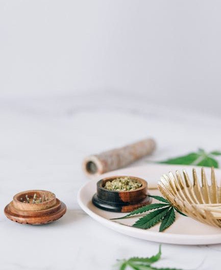 Семена конопли Great White Shark CBD feminised от Green House Seeds