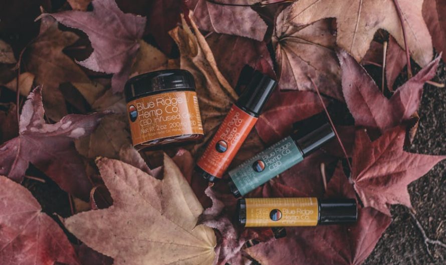 Полезные свойства семян льна и конопли