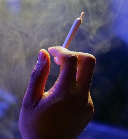 Семена конопли Auto Fruity Jack от Ganja Seeds