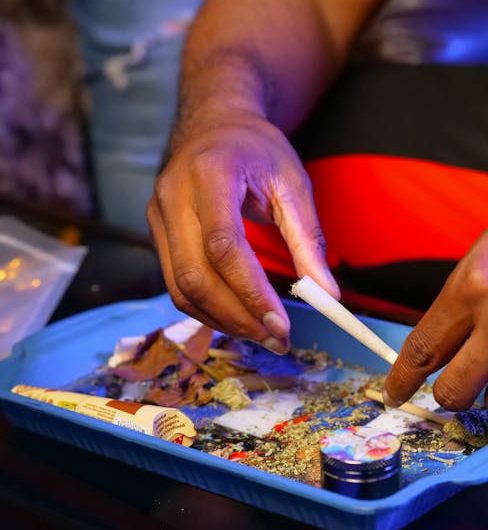 Покупка и выращивание семян марихуаны