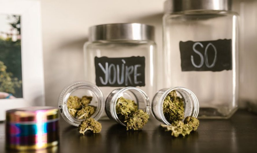 Семена конопли White Siberian feminised от Dinafem Seeds