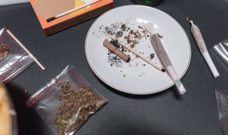 Где и как купить семена марихуаны