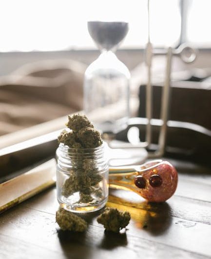 Прорастание семян конопли и уход за ними