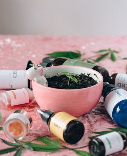 Семена конопли Auto Siberian Haze regular от Ganja Seeds