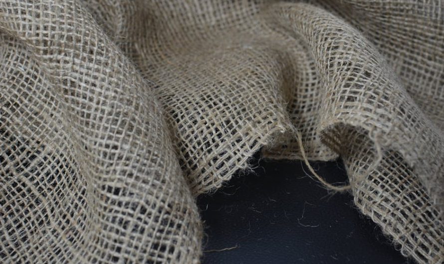 Семена конопли Auto New York City CBD feminised от Pyramid Seeds