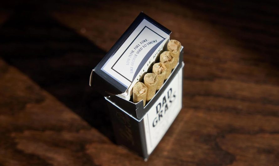 Выращивание и польза конопли от семени