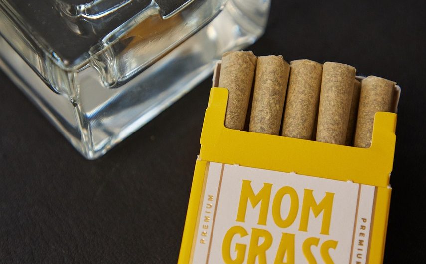 Семена конопли Colossus feminised от GanjaVIP Seeds