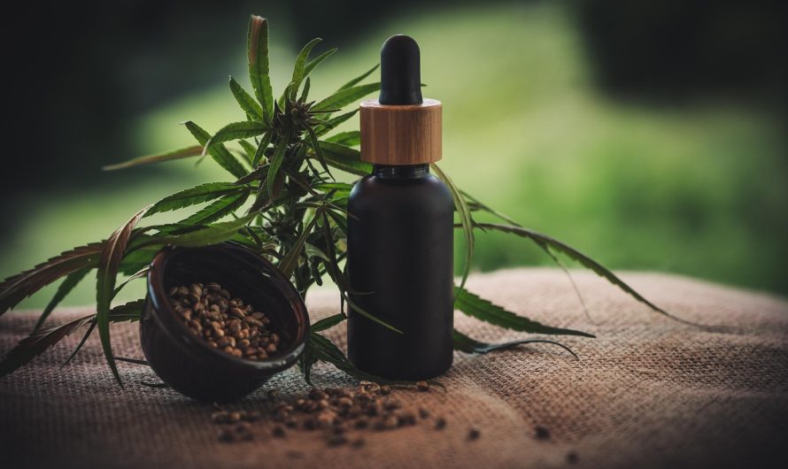 Купить семена конопли в Ростове-на-Дону: советы и рекомендации