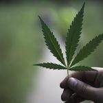 Микс Семян Марихуаны Особенности и Преимущества Выращивания images164.jpg