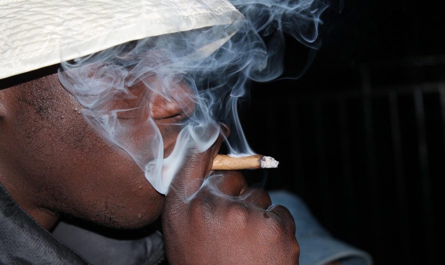 Семена конопли Auto Chuck Chuck feminised от Bang Seeds