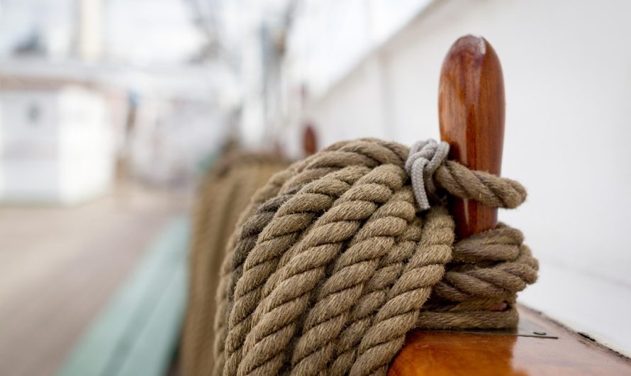 Сорт конопли Warlock feminised от Ganja Seeds