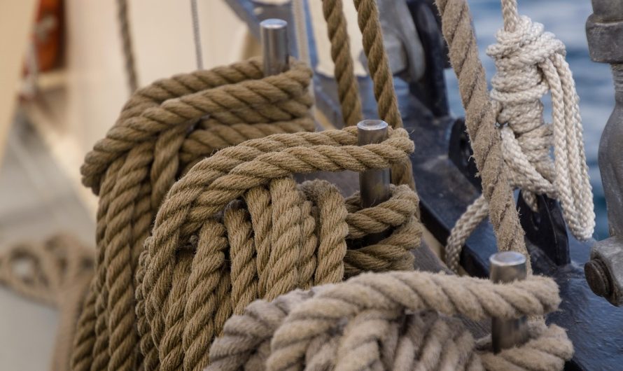 Приобретение семян конопли в Челябинске