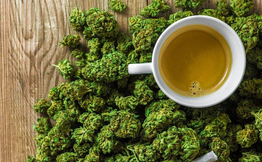 Определение вида конопли по семенам