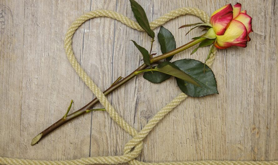 Полезные свойства семян конопли