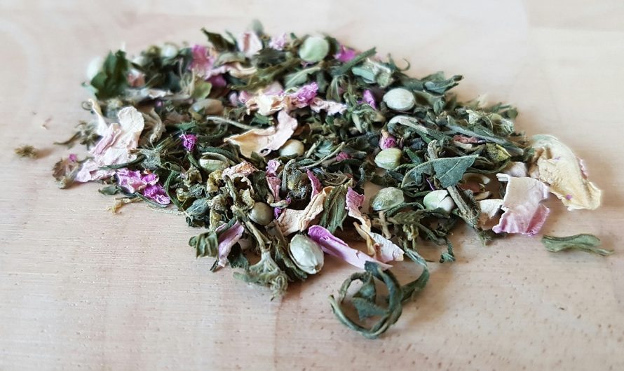 Покупка семян конопли онлайн безопасно и надежно