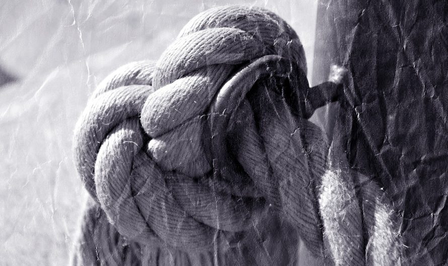 Полезные свойства семян конопли