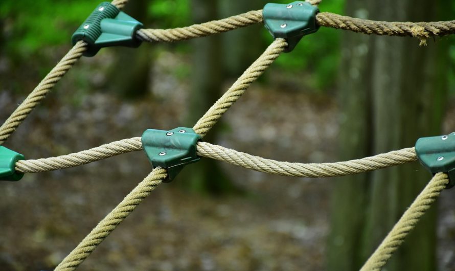 Семена конопли Auto Purple feminised от Ganja Seeds