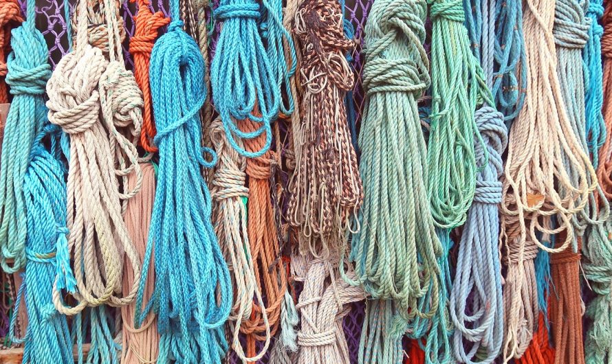 Характеристика и выращивание сорта конопли Hash Passion feminised