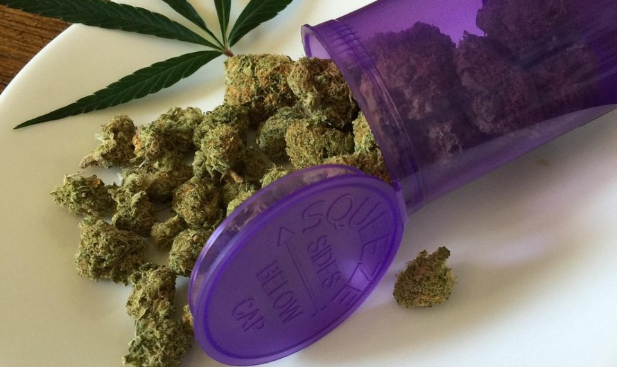 Сидбанки и семена конопли