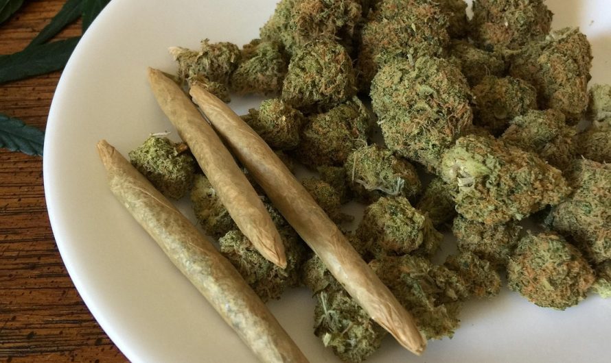 Семя конопли в рыбалке и кулинарии