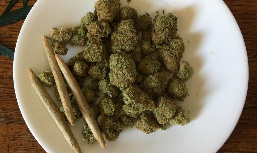 Купить Семена Конопли в Москве с Доставкой