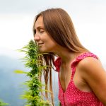 Полезные свойства и применение семян конопли в кулинарии и медицине images50.jpg