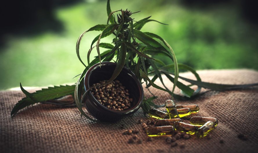 Выращивание конопли из семян