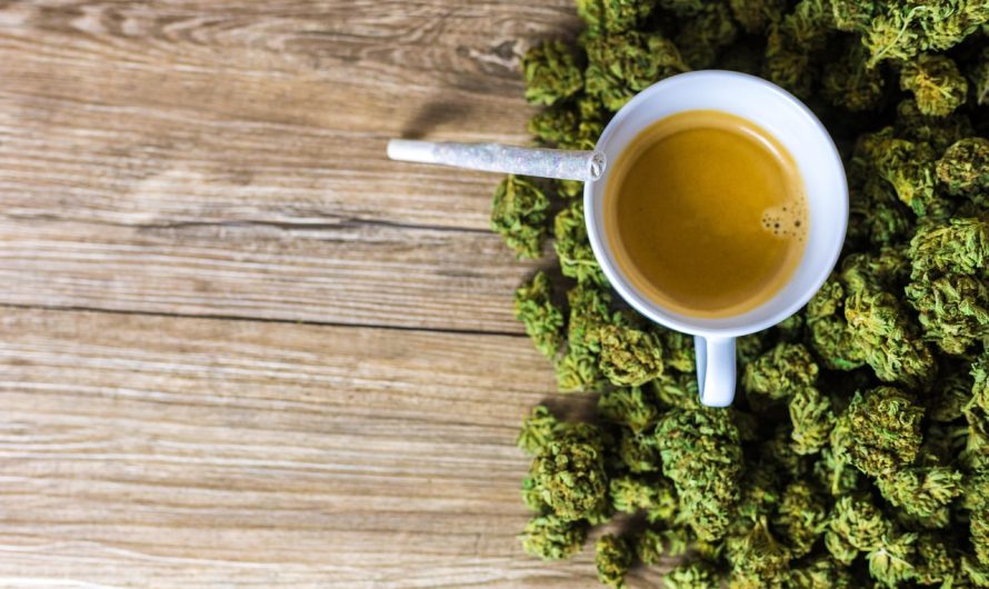 Семена конопли в Ставрополе: перспективы и преимущества культуры