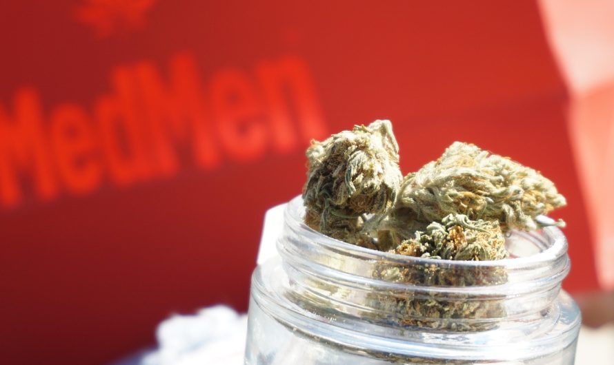 Покупка семян конопли через интернет магазины преимущества и рекомендации