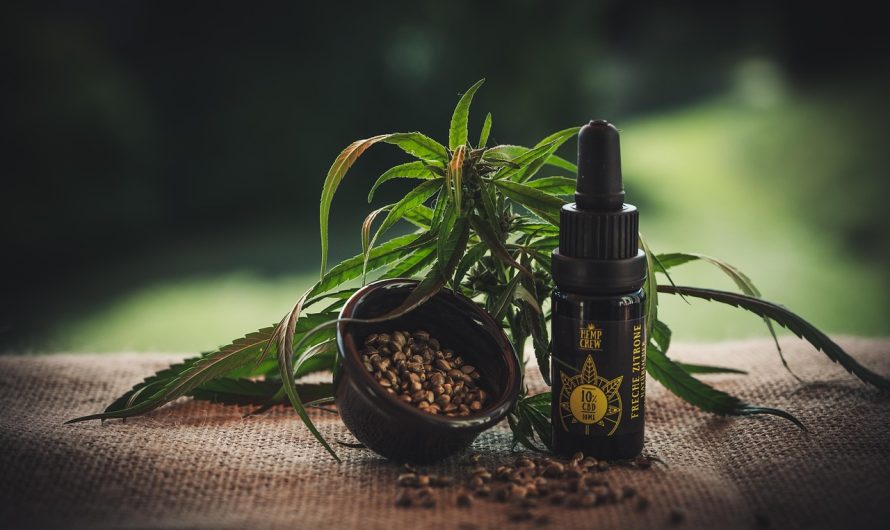 Выращивание и уход за семенами конопли