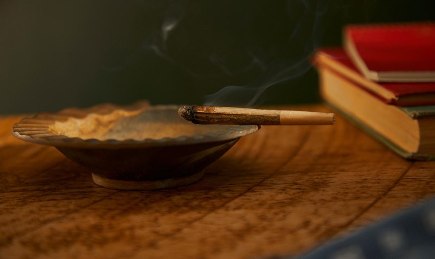 Сорт конопли LA Cannalope feminised от DNA Genetics