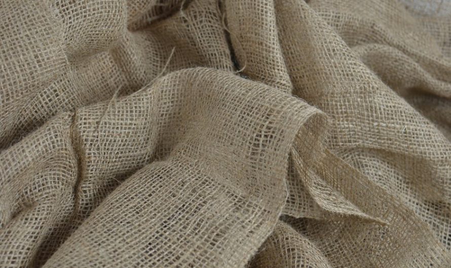 Семена конопли полезные свойства и применение в Казахстане