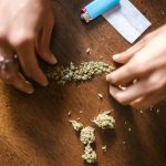 Семена конопли Auto Cheese CBD feminised от Dinafem Seeds image_104.jpg