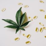 Семена конопли Hollands Hope regular от Dutch Passion Seeds image_132.jpg