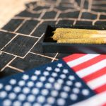 Семена конопли Kali Mist regular от Ganja Seeds image_178.jpg