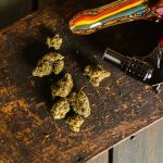 Стратификация семян конопли image_179.jpg